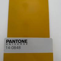 Seletti Wallstore Pantone Universe libreria Mimosa