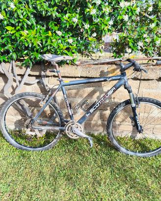 Bicicletta MTB Scott.