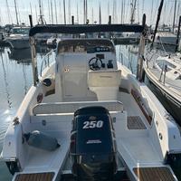 Terminal Boat Freetime 24, suzuki 250 cv, 2013