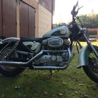 Parafanghi Softail Fat Boy adattati per 883