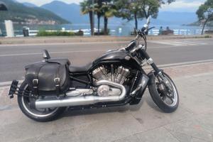 HARLEY-DAVIDSON V-ROD MUSCLE 2009 – ORIGINALE