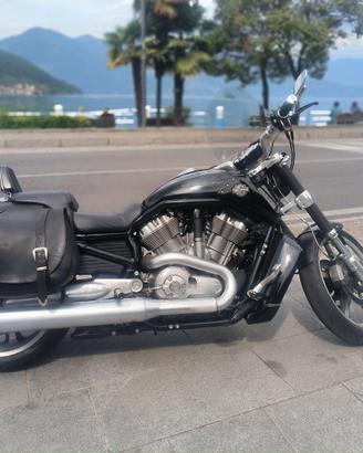 HARLEY-DAVIDSON V-ROD MUSCLE 2009 – ORIGINALE