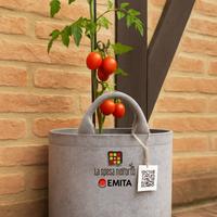 L’orto nel nel sacco