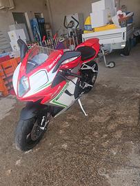 splendida MV f3 800cc