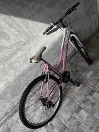 bicicletta da ragazza