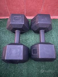 Coppie manubri 10kg