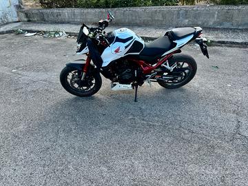 Honda hornet