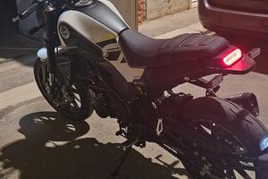 Benelli Leoncino 250 - 2024