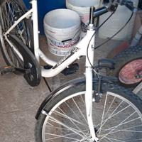 Bici 24 "