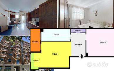 AMPIO BILOCALE RISTRUTTURATO CON CANTINA!