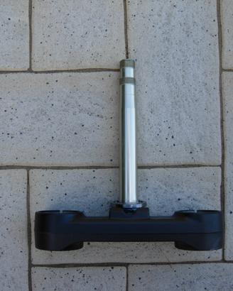 Piantone forcella Honda CFR 1100