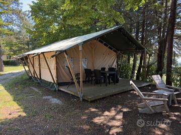 5 Tende Glamping Safari 6 posti complete