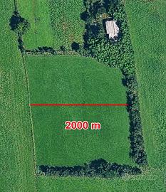 TERRENO EDIFICABILE 2000 METRI