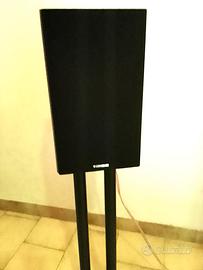 Coppia Casse Altoparlanti Scaffale HiFi 40 watt
