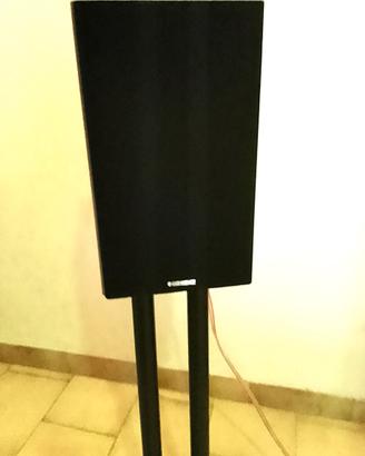 Coppia Casse Altoparlanti Scaffale HiFi 40 watt