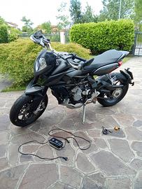 MV Agusta Rivale 800 - 2014