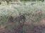 Immagine 13