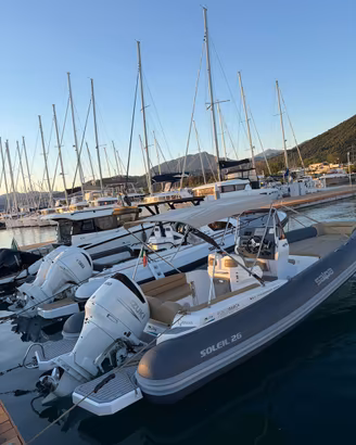 Salpa Soleil 26