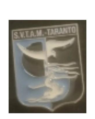 Distintivo Aeronautica Militare