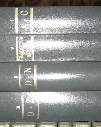 Dizionario della lingua italiana - federico motta