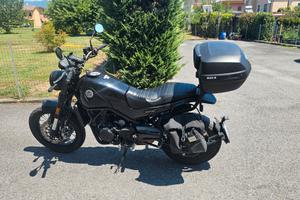 benelli leoncino 500 trail