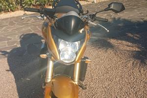 Honda Hornet