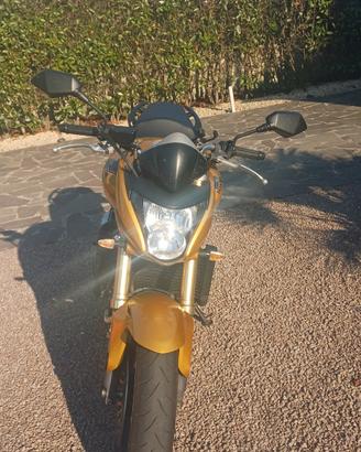Honda Hornet