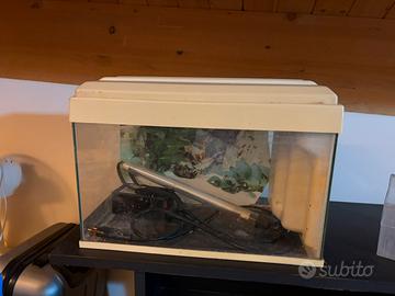Acquario piccolo
