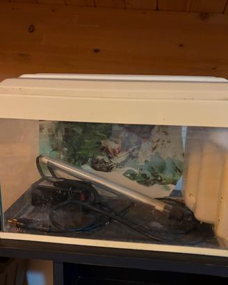Acquario piccolo