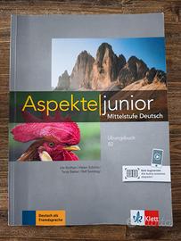 Aspekte junior Übingsbuch B2