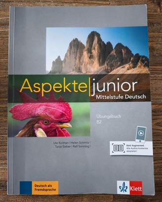 Aspekte junior Übingsbuch B2