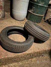 Gomme estive