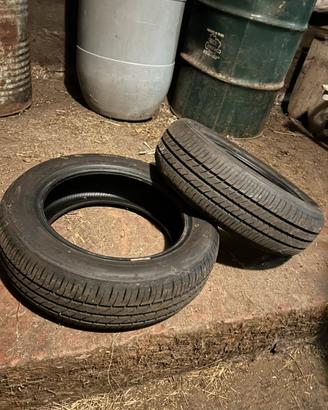 Gomme estive