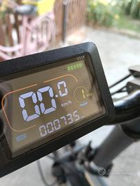 bicicletta elettrica 
