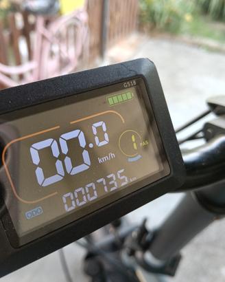 bicicletta elettrica 