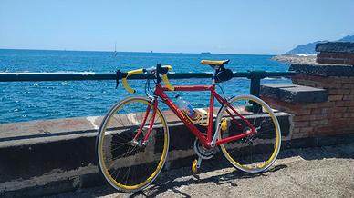bici da corsa fausto coppi