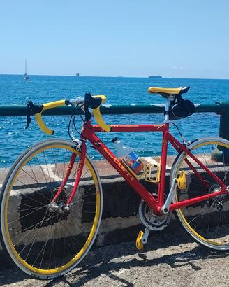 bici da corsa fausto coppi