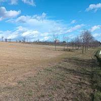 Terreno Agricolo