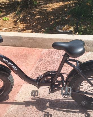 bici  WOOW  pieghevole 