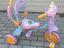 Immagine 5