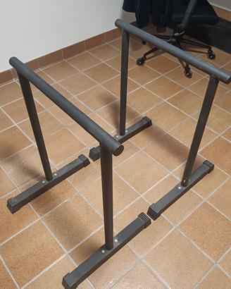 Parallele palestra