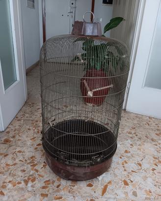 Voliera vecchia