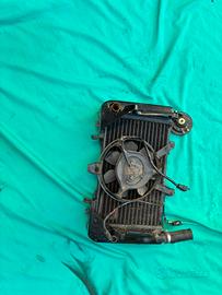 Ricambi Kawasaki ZRX1200/1100