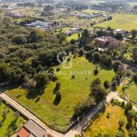 Terreno agricolo - Maglie