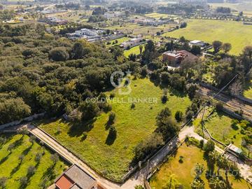 Terreno agricolo - Maglie