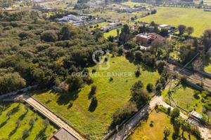 Terreno agricolo - Maglie