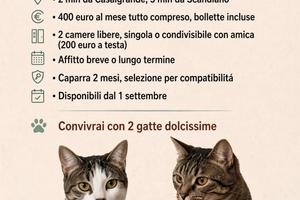 2 camere da letto disponibili a Casalgrande