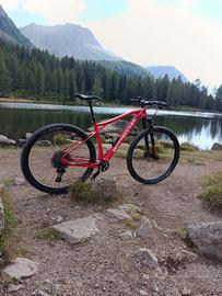 MTB carbon 29