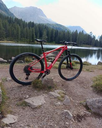 MTB carbon 29