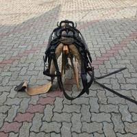 Basto per muli e cavalli